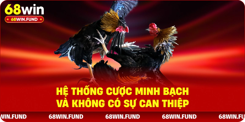 Hệ thống cược minh bạch và không có sự can thiệp 
